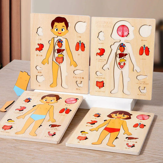 Set of wooden anatomy puzzles for children on a wooden surface.