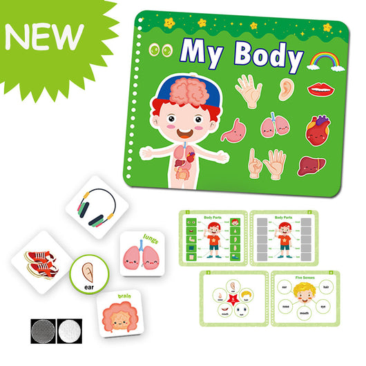 Educational children's book and flashcards set on a white background with 'My Body' title.