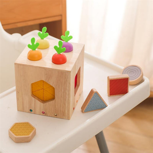 Wooden shape sorting toy with colorful blocks on a white surface